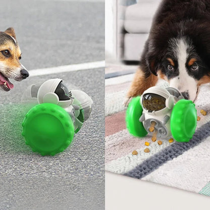 Slow Feeder, Pets Intellectual Training Toy